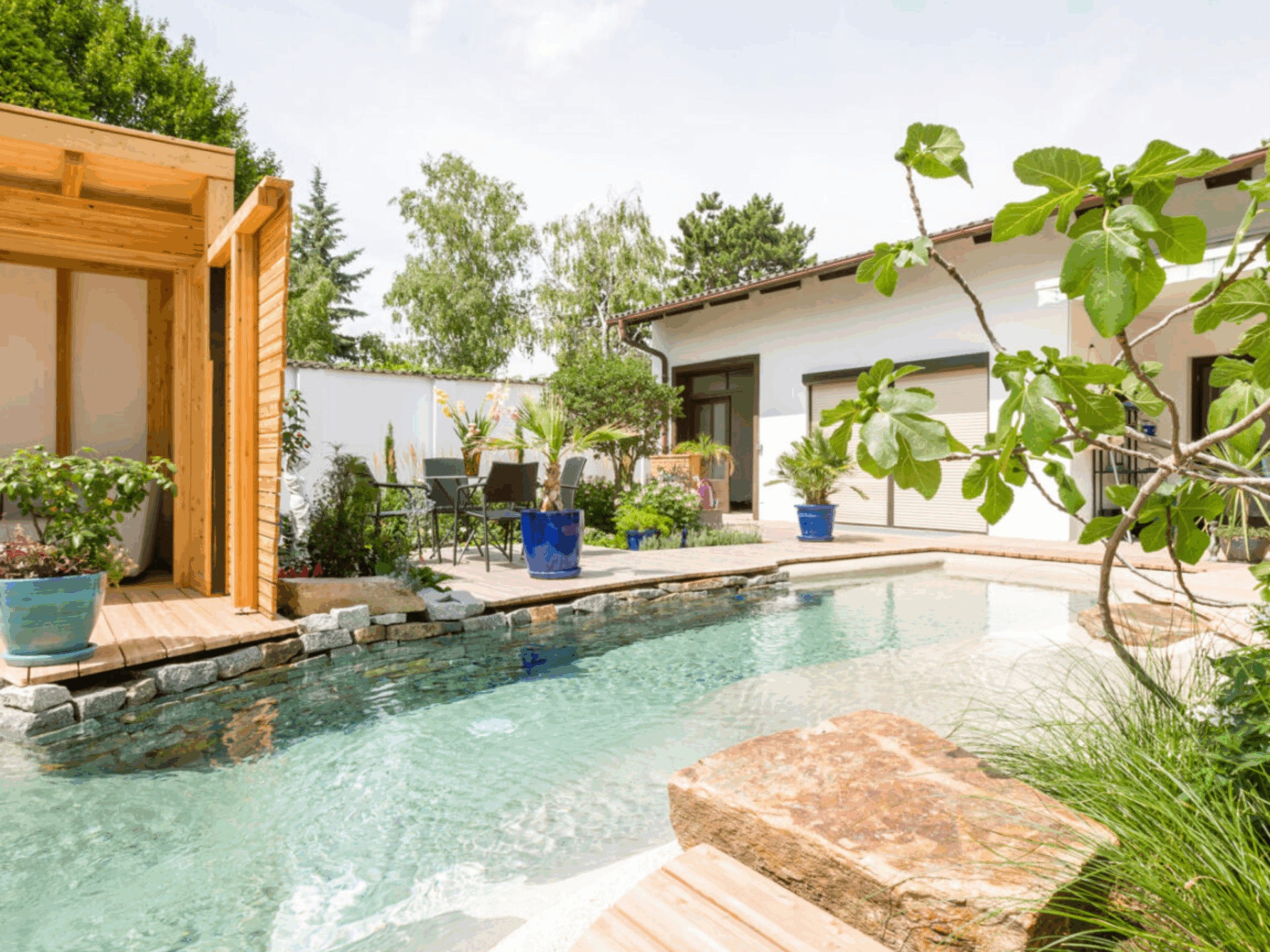 Natural bio pool with stone edging and lush plantings beside a wooden deck and pergola