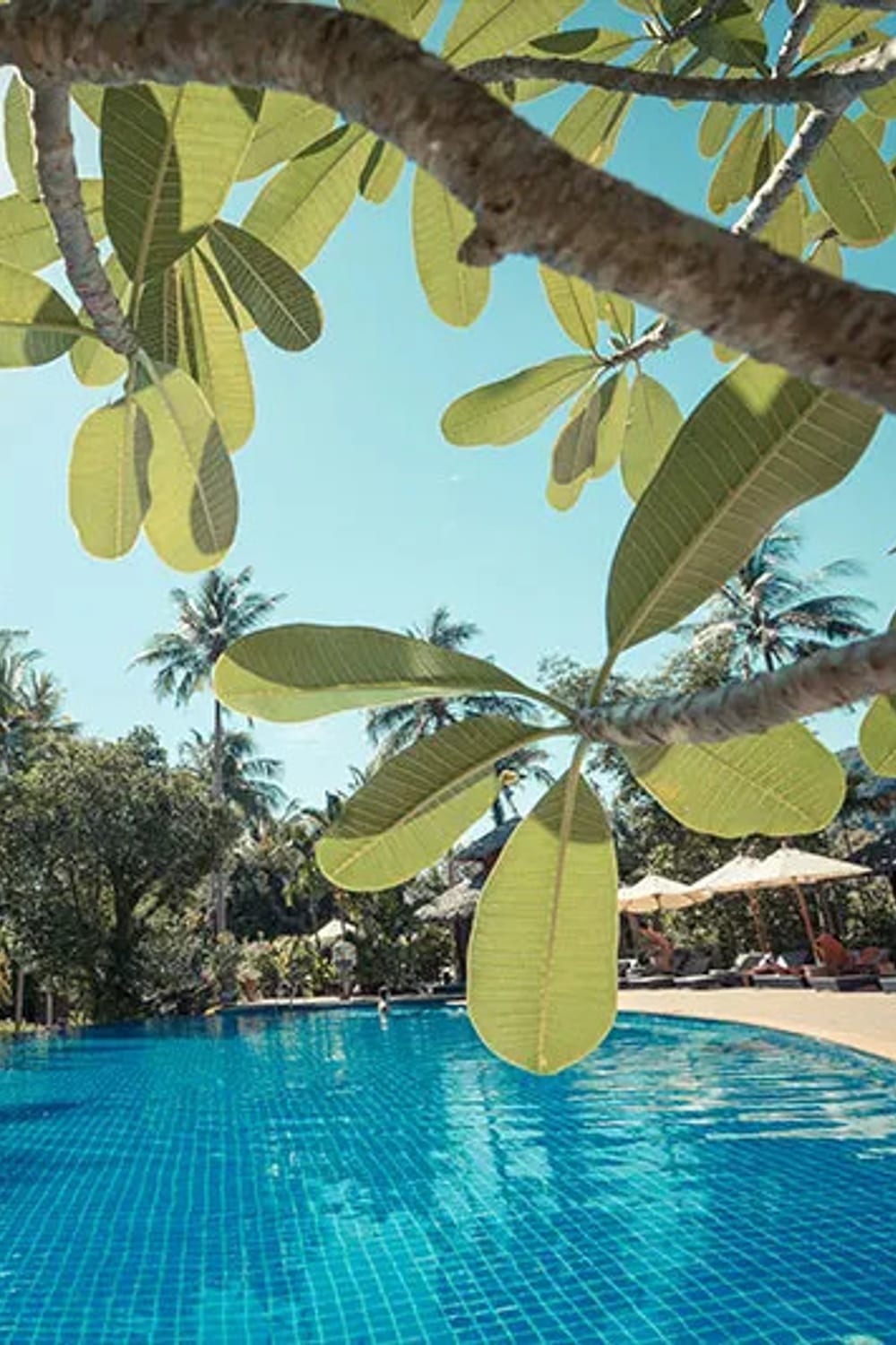 Ban Sanai Resort, a saltwater pool in Phuket, Thailand