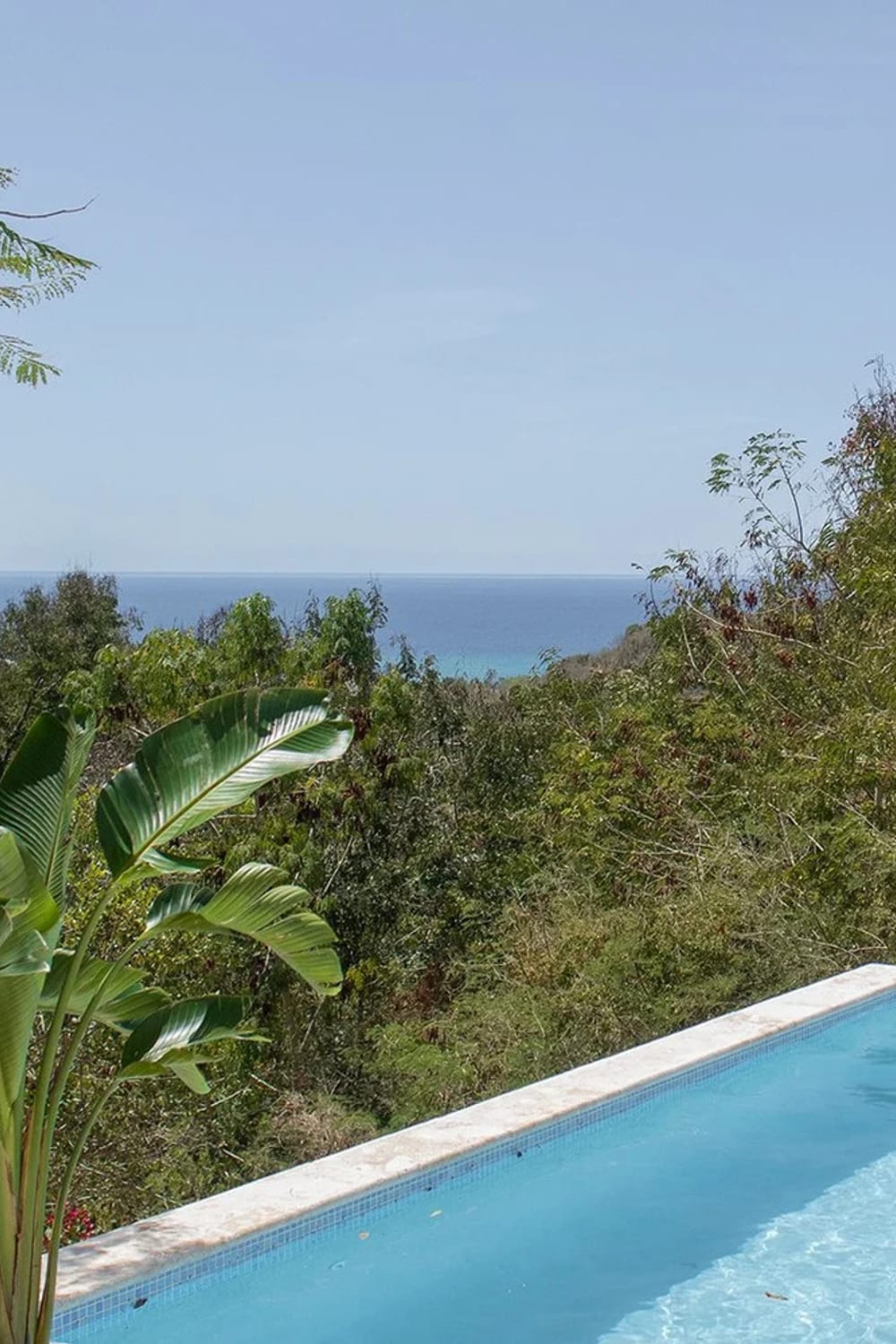 English Rose Estate, a saltwater pool in Rincón, Puerto Rico