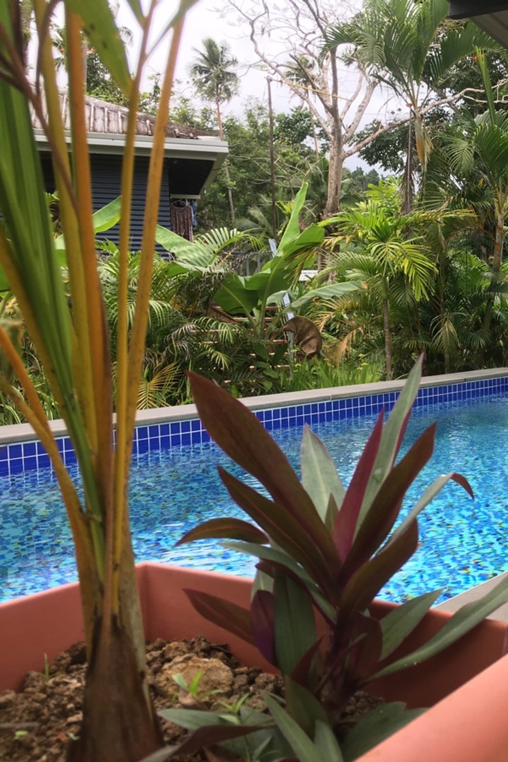 Pure Shores Resort, a saltwater pool in Nungwi, Tanzania