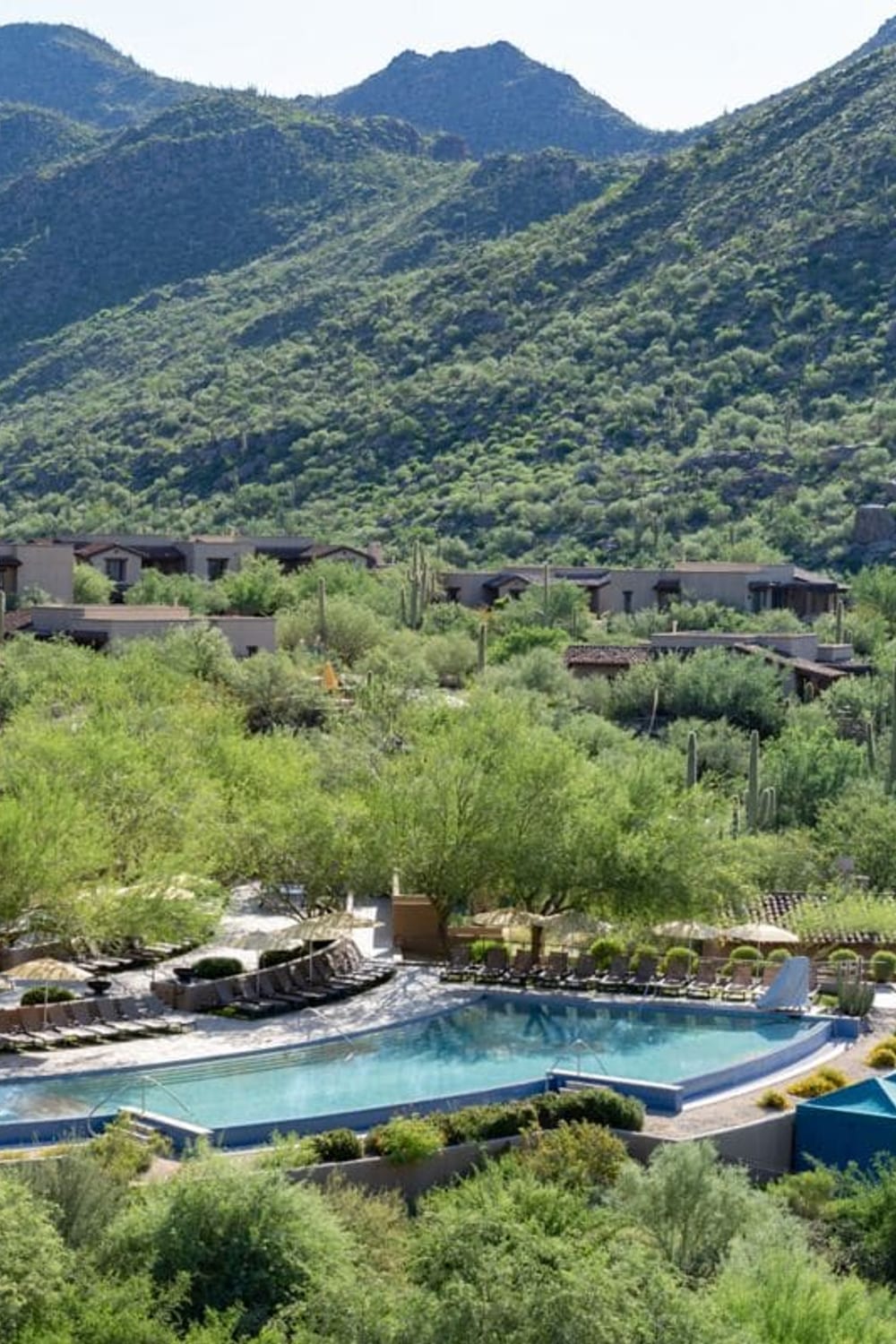 Ritz-Carlton Dove Mountain, a saltwater pool in Marana, Arizona, United States