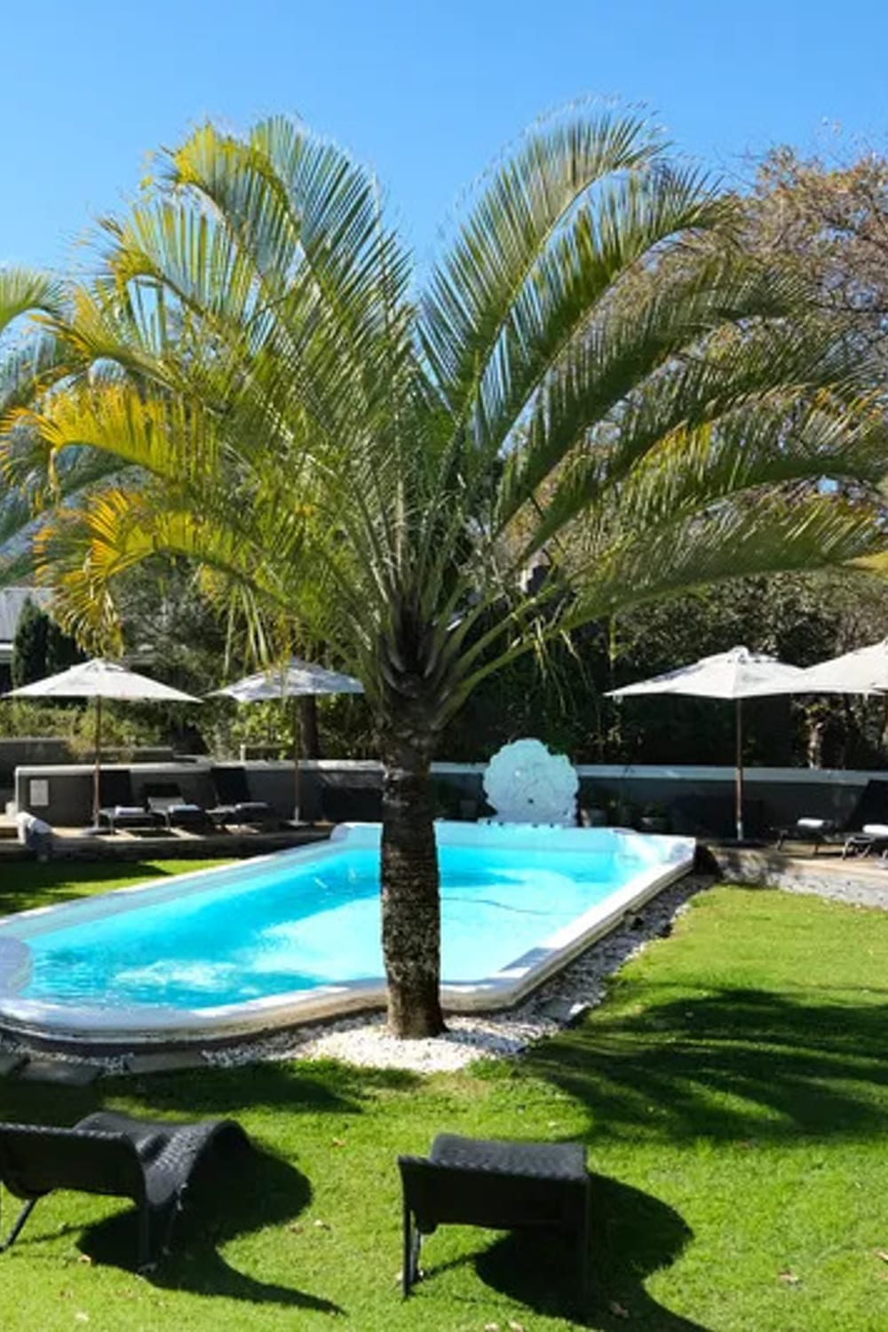 Schoone Oordt Country House, a saltwater pool in Swellendam, South Africa